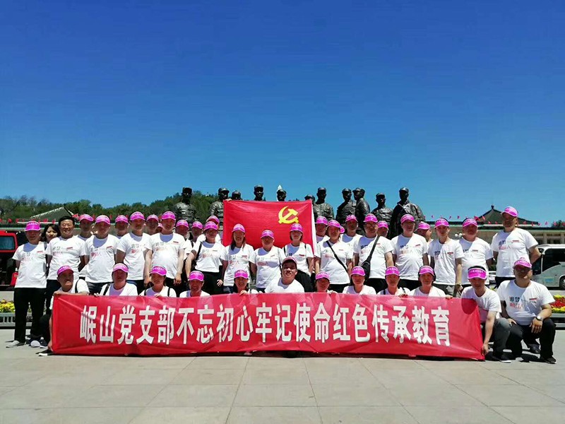 岷山黨支部不忘初心牢記使命紅色傳承教育